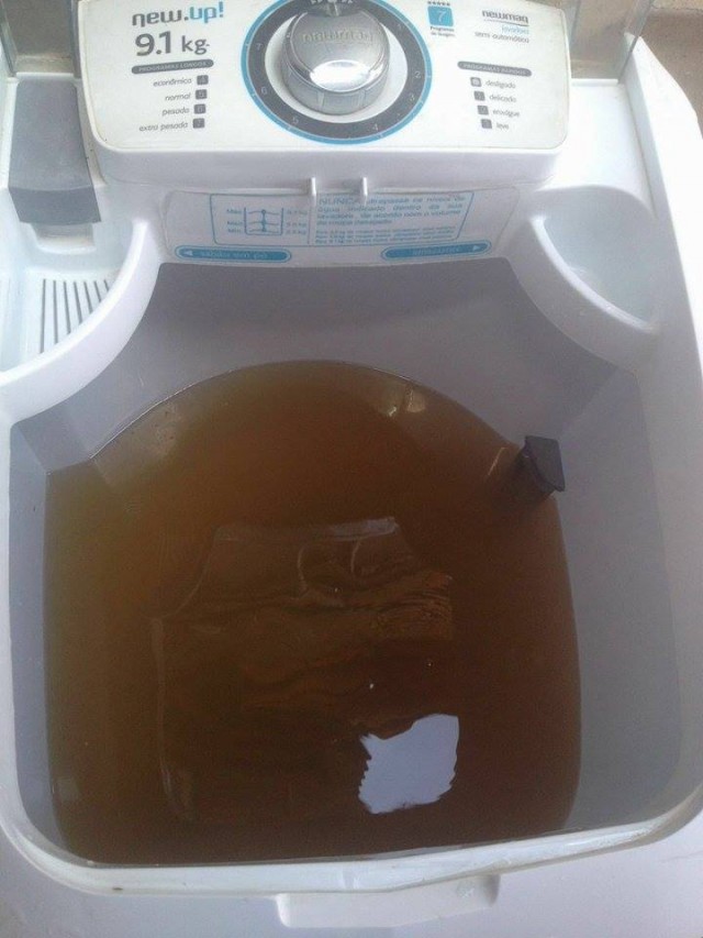 12767609_933390606780304_932530389_n