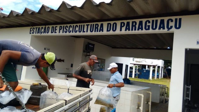 12814696_1897109900515323_142458267243293975_n