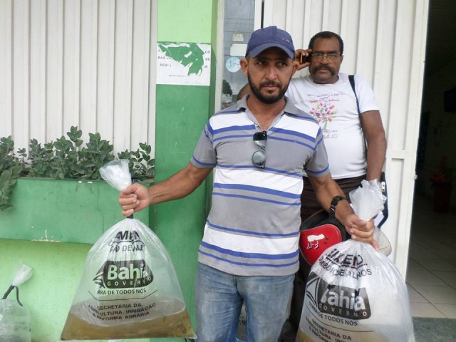 12832352_1897110107181969_2428396340496412342_n