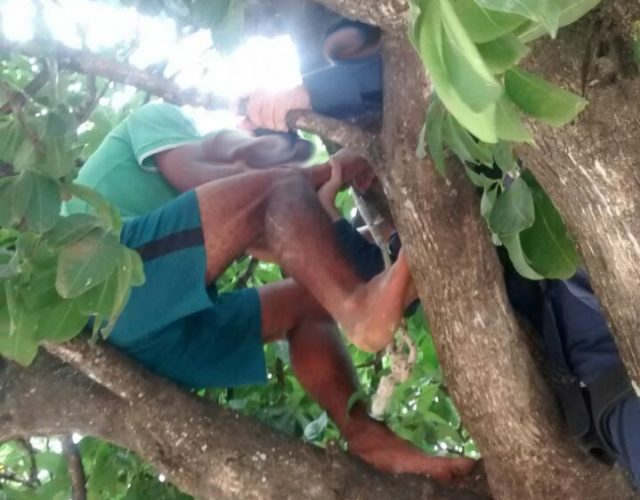 suicidio em itaberaba