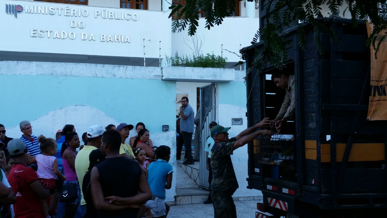 Inema participa da apreensão de animais silvestres em Itaberaba