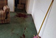 Mulher é encontrada morta com mais de 30 facadas