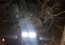 Caminhonete capota e motorista fica ferido na BR-242