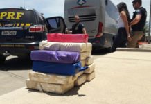 Mulher é presa com 16 Kg de drogas na BR-242