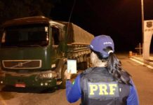 Carreta com documentação falsificada é apreendida na BR-242
