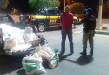 Policia apreende 900 Kg de explosivos na BR-242