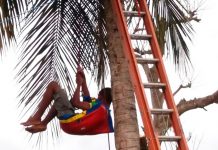 Jovem sobe em coqueiro de 13 metros de altura, passa mal e é resgatado por bombeiros