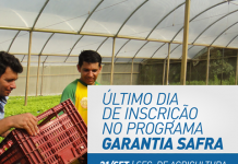 Termina nesta quinta-feira o prazo para inscrição no Programa Garantia-Safra em Itaberaba