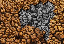 Governo decreta situação de emergência em 173 municípios afetados por estiagem