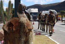 Cipe Chapada supera marca de 1.000 flagrantes no ano de 2017