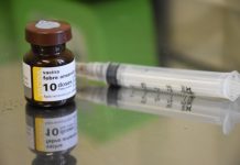 Itaberaba monta estratégia de enfrentamento ao Aedes Aegypti