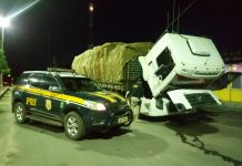 Caminhão roubado há mais de 2 anos é recuperado na BR-242