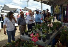 Agricultura Familiar é destaque na ExpoVale que acontece em Itaberaba até esta segunda-feira