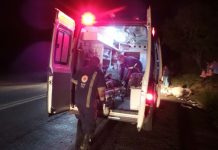 Mulher é atropelada e motorista foge sem prestar socorro na BR-242