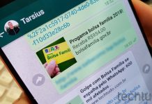 Golpe do Bolsa Família no WhatsApp faz 600 mil vítimas