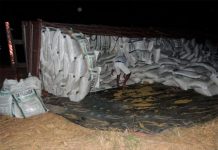 Carreta com cerca de 30 mil kg de torta de algodão tomba na BR-242