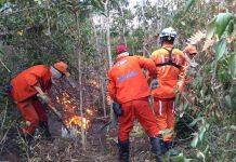 Incêndio na Serra da Tromba, na Chapada Diamantina, é controlado