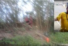 Homem é encontrado morto ao lado de rodovia em Utinga