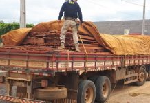 Carga ilegal de madeira é apreendida na BR-242