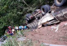 Motorista morre após caminhão tombar na BR-242