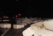 Acidente com carreta deixa carga de algodão espalhada na BR-242