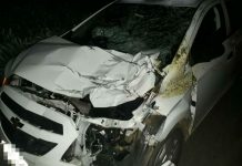 Carro colide com cavalo e deixa três pessoas feridas na BR-242