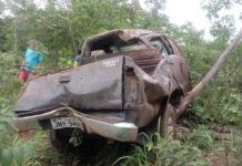 Caminhonete capota, bate em árvore e motorista morre na BR-242