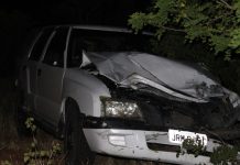 Animais na pista provocam acidente na BA-130, no município de Várzea da Roça