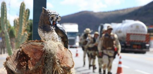 Município de Itaberaba completa 30 dias sem homicídios