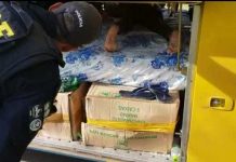 PRF flagra homem sendo transportado no bagageiro de ônibus na BR-242