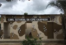 Canil Setorial da CIPE Chapada será inaugurada dia 03/04 na Base da companhia em Ruy Barbosa