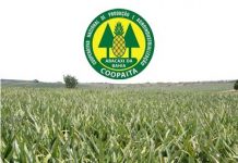 Coopaita abre processo seletivo com duas vagas em Itaberaba