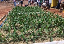 Agricultores familiares de Itaberaba participam de oficina sobre acesso à terra