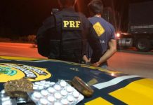 PRF flagra caminhoneiro com 55 comprimidos de anfetaminas e maconha na BR 242