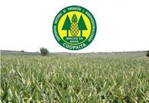 Coopaita abre vagas de emprego em Itaberaba; veja como participar da seleção