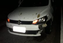 Veículo da saúde de Baixa Grande colide em animais na pista na BA-052