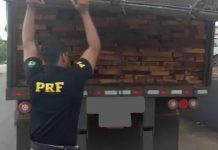 PRF apreende 38m³ de madeira ilegal na BR 242, em Barreiras