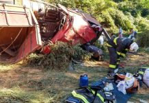 Motorista morre após tombar carreta na BR-242