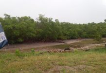 Assessoria confirma que Gabriel Diniz estava em avião no momento do acidente