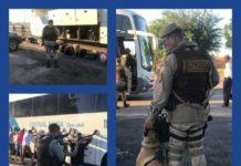 Rondesp e PRF fazem operação para combater trafico de drogas e armas em Itaberaba