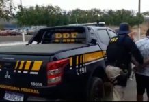 Após fuga de abordagem, condutor embriagado provoca acidente e acaba preso na BR 242