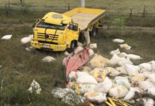 Motorista morre após capotar caminhão na BA-052, em Ipirá