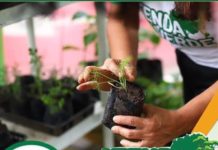 Projeto que incentiva hortas urbanas chega a Itaberaba