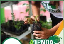 Itaberaba recebe projeto que visa levar ensinamentos sobre hortas urbanas nesta sexta-feira (11)