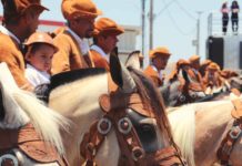 Festa de Vaqueiros reuniu mais de 2 mil cavaleiros e amazonas em Itaberaba