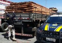 Carga de madeira é apreendida na BR-242