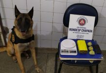 Após tentar fugir, mulher é presa, e cadela farejadora encontra tablete de maconha em Itaberaba