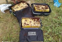 Homem é preso com 101kg de maconha na BA-046, entre Iaçu e Itaberaba