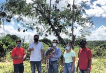 Prefeito Ricardo Mascarenhas anuncia construção de canil em Itaberaba