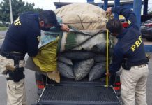 Sem licença ambiental válida, condutor é flagrado pela PRF transportando carvão vegetal na BR 242